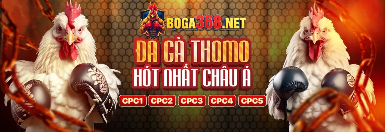 Hình ảnh đại lý da ga thomo cpc3