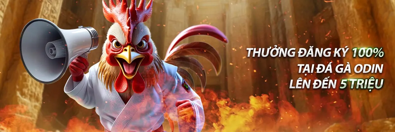 Giao diện cá cược thể thao trực tiếp với tỷ lệ cược thay đổi