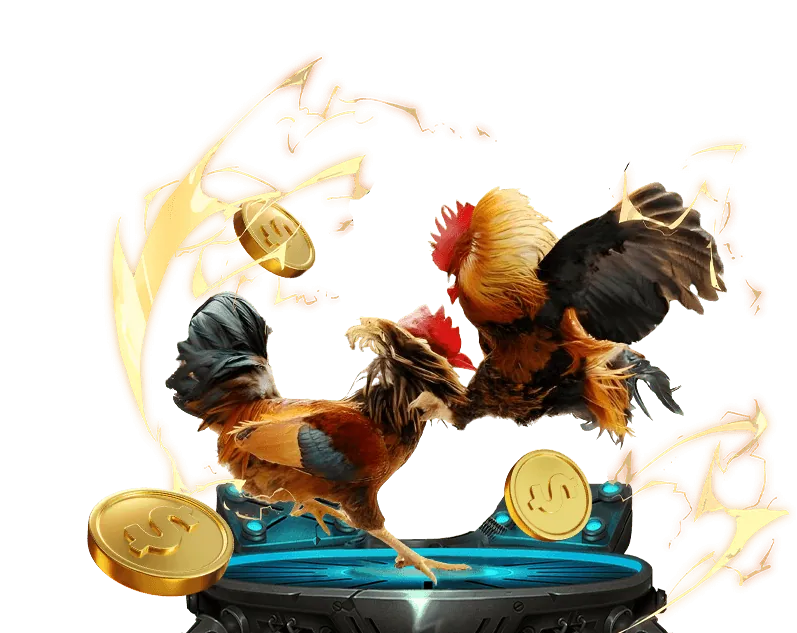 Hướng dẫn đăng ký, nạp tiền và mẹo cá cược tại đá gà Thomo CPC3